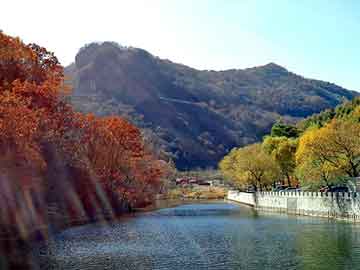 新澳天天开奖资料大全旅游团，长宜特种纸